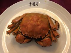 老龙井御茶园(老龙井店)-十八棵（老龙井）御茶园(老龙井店)