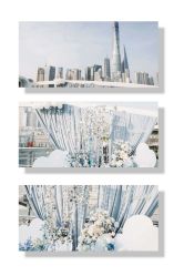 -Doris一站式游轮婚礼船东直营店(外滩店)