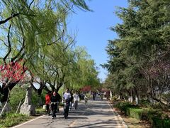 -艾山风景名胜区