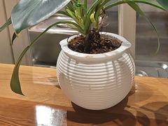 -囿面传统制面馆(中央路店)