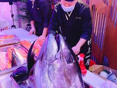 大金枪鱼-村上一屋(望京店)