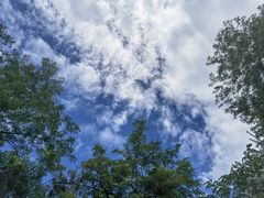 -黄椅山火山森林公园