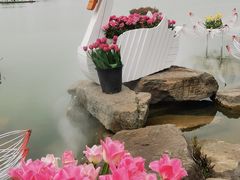 -荷兰花海