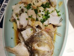-大榕树下顺德菜(融创茂店)