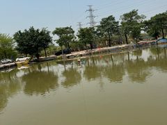 -会江钓鱼钓虾烧烤场