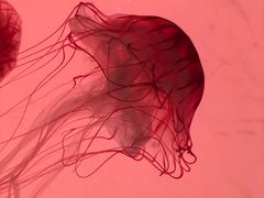 -沈阳海洋探索中心