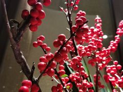 -喜湘宴·精致湖南菜(和平西桥店)