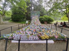 -上海共青森林公园