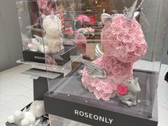 -ROSEONLY诺誓(磐基中心店)