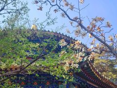-潭柘寺景区