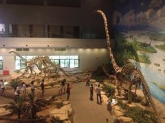 -自贡恐龙博物馆