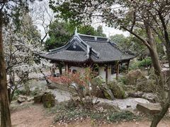 -香雪海