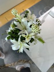 -HEYAN长风荷妍专业脱毛美肤
