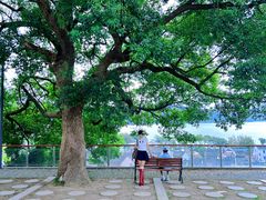 -东钱湖旅游度假区