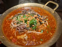 -张翻越·川渝冒菜·武汉黑鸭煲(城北万象城店)