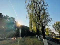 -紫霞湖公园