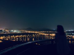 -羊山湖公园