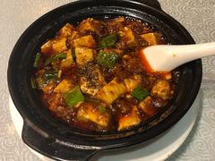 -陈麻婆豆腐总店