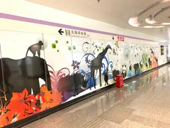 -上海动物园(地铁站)