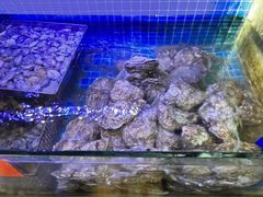 -77号渔船·蒸海鲜青岛菜(积米崖店)