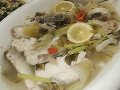 -长平肥姐白粥·海鲜打冷