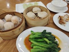 -富豪酒家(正大广场店)