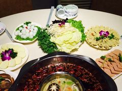 万和源炝锅城(文艺北路店)-万和源炝锅城·活鱼现炝(文艺北路店)