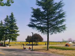 -汉长安城未央宫国家考古遗址公园