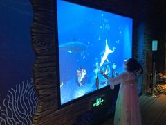 -沈阳海洋探索中心