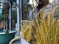 -半岛公馆(淞兴西路店)