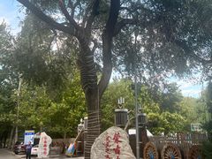 -蒙古大营(朝阳公园店)