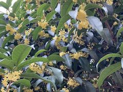 -辣公子·千岛湖私房菜(滨江店)