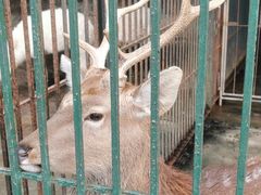 -揭东万竹园旅游景区