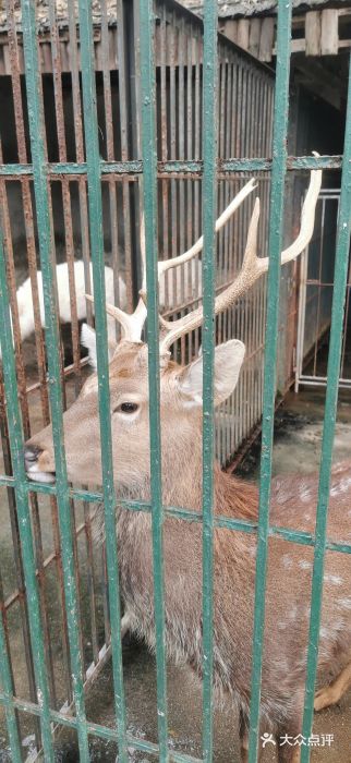 揭东万竹园旅游景区图片