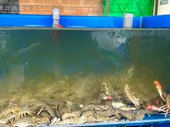 -北方饺子王·海肠捞饭·海鲜锅(山大店)
