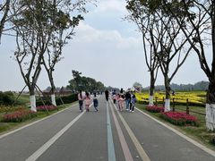 -空港花田景区