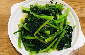 High Mountain Spinach