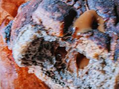 -85度C(上海国权北路店)