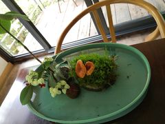 -乐领拈花溪·林涧食韵