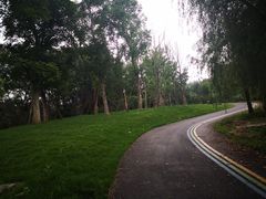 -白鹭湾湿地公园