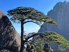 -黄山风景区