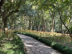 -杭州植物园