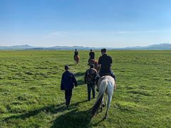 -塞罕坝国家级自然保护区