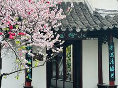 -水绘园