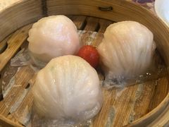 金牌虾饺皇-点都德(华强南店)