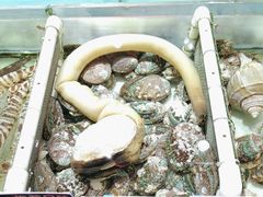-强记海鲜·大排档(蛇口新街店)