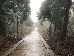 -江西阳明山国家森林公园