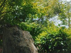 -大理地热国