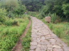 iphone_upload_pic-帽儿山风景区