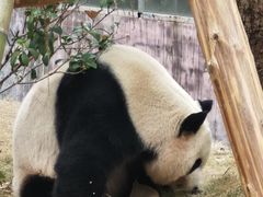 -灵玲国际马戏城